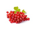 Red currant bunch isolated, Redcurrant pile, ripe red currant berries group on white background