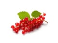 Red currant bunch isolated, Redcurrant pile, ripe red currant berries group on white background