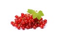 Red currant bunch isolated, Redcurrant pile, ripe red currant berries group on white background