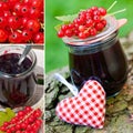 Red currant collage Royalty Free Stock Photo