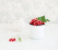 Red currant in a cuo on white background