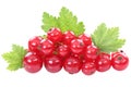 Red currant currants berries berry fruits fruit leaves isolated