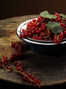 Red currant