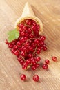 Red currant fruits in ice cream cone on wood Royalty Free Stock Photo