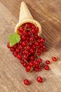 Red currant fruits in ice cream cone on wood Royalty Free Stock Photo