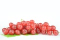 Red currant Royalty Free Stock Photo