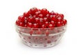 Red currant in glass bowl