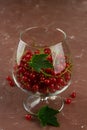 Red currant in a glass on brown background Royalty Free Stock Photo