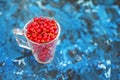 The red currant is in a glass cup on a blue background. Top view Royalty Free Stock Photo