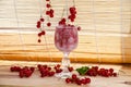 Red currant in a glass with ice, Frozen red currant berries in ice cubes Royalty Free Stock Photo