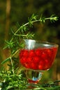 Red Currant in the Glass Of Wine Royalty Free Stock Photo