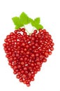 Red currant and green leaf - Ribes rubrum - heart Royalty Free Stock Photo