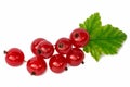 red currant with green leaves isolated on white background Royalty Free Stock Photo