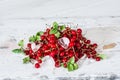 Red currant with ice and green leaves on white wooden background. Still life of food. Cubes of ice with berries.