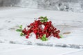 Red currant with ice and green leaves on white wooden background. Still life of food. Cubes of ice with berries.