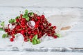 Red currant with ice and green leaves on white wooden background. Still life of food. Cubes of ice with berries.