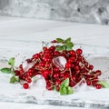Red currant with ice and green leaves on white wooden background. Still life of food. Cubes of ice with berries. Royalty Free Stock Photo
