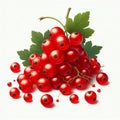 Red currant isolated on white background. Fruit and healthy food. AI generated Royalty Free Stock Photo