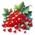 Red currant isolated on white background. Fruit and healthy food. AI generated Royalty Free Stock Photo