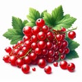 Red currant isolated on white background. Fruit and healthy food. AI generated Royalty Free Stock Photo