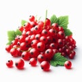 Red currant isolated on white background. Fruit and healthy food. AI generated Royalty Free Stock Photo