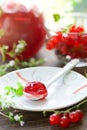 Red currant jam Royalty Free Stock Photo