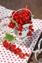 Red currant jam Royalty Free Stock Photo