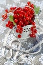 Red currant jam Royalty Free Stock Photo