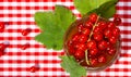 Red currant jam Royalty Free Stock Photo