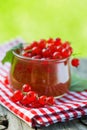 Red currant jam Royalty Free Stock Photo
