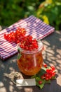 Red currant jam Royalty Free Stock Photo