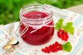 Red Currant Jam Royalty Free Stock Photo