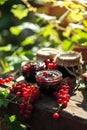 red currant jam in a jar. Selective focus. Royalty Free Stock Photo