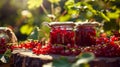 red currant jam in a jar. Selective focus. Royalty Free Stock Photo