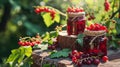 red currant jam in a jar. Selective focus. Royalty Free Stock Photo