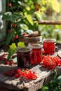 red currant jam in a jar. Selective focus. Royalty Free Stock Photo