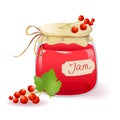 Red currant jam Royalty Free Stock Photo