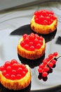 Red currant mini cheesecakes Royalty Free Stock Photo