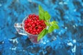 Red currant with mint on a blue background. Top view. The concept is healthy food, vitamins, diet and vegetarianism. Royalty Free Stock Photo