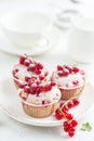 Red currant muffins with fresh berries and powdered sugar Royalty Free Stock Photo