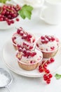 Red currant muffins with fresh berries and powdered sugar Royalty Free Stock Photo