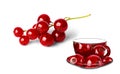 red currant and the outline of a cup and saucer Royalty Free Stock Photo