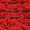 Red Currant Packaging Seamless Pattern, Redcurrant in Paper Boxes, Many Red Currant Berries