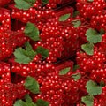 Red Currant Packaging Seamless Pattern, Redcurrant in Paper Boxes, Many Red Currant Berries