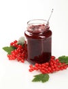 Red currant preserve Royalty Free Stock Photo