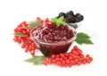 Red currant preserve Royalty Free Stock Photo