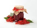 Red currant preserve Royalty Free Stock Photo