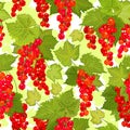 Red currant seamless pattern. Collection of berries. Vector