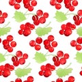 Red currant seamless pattern