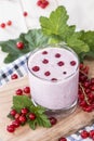 Red Currant Smoothie Royalty Free Stock Photo